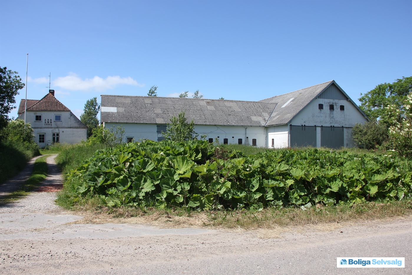Sommerhus oland