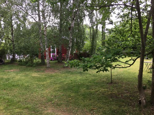 estate