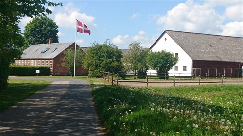 estate