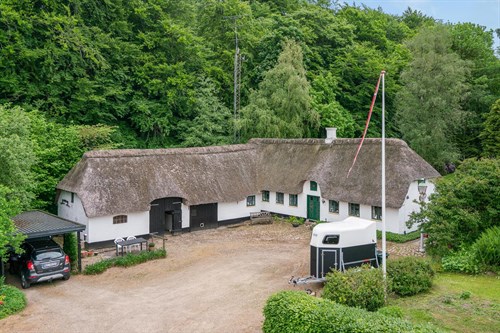 estate
