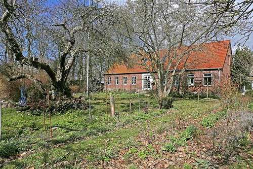 estate
