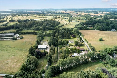 estate