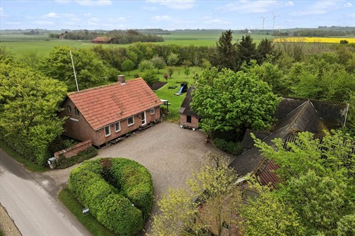 estate
