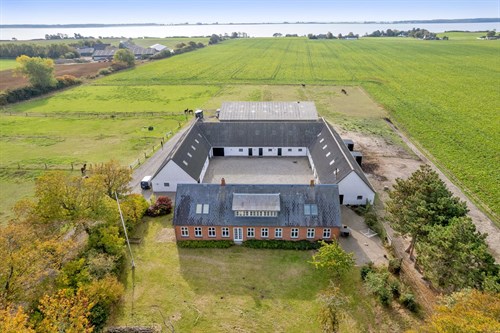 estate