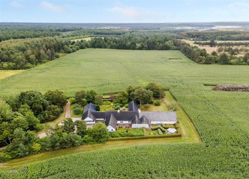 estate