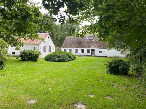 estate