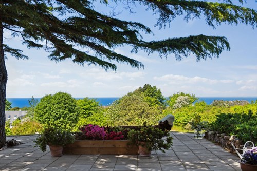 estate
