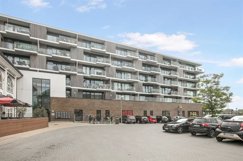 estate