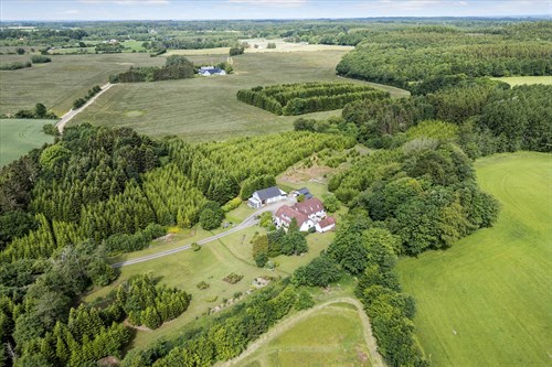 estate