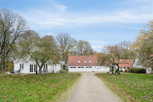 estate