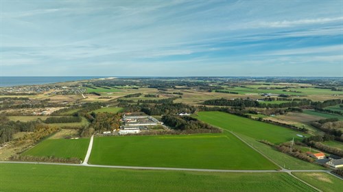 estate
