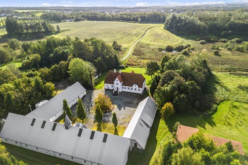 estate