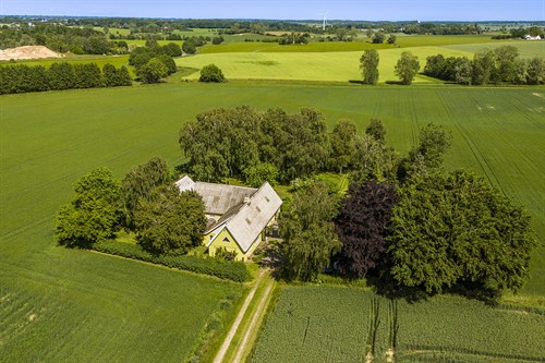 estate