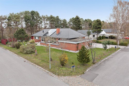 estate
