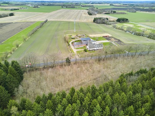 estate