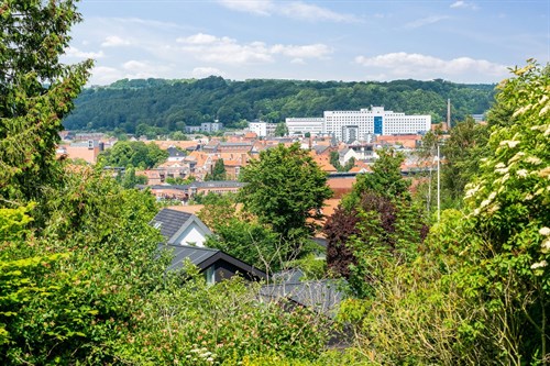 estate