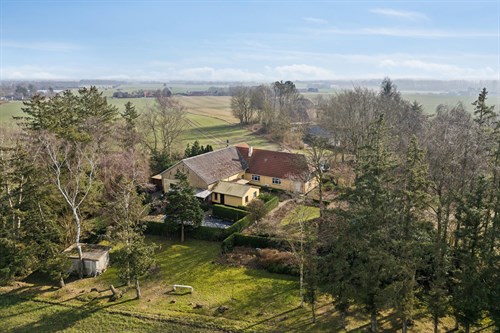 estate