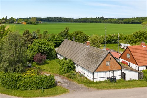 estate