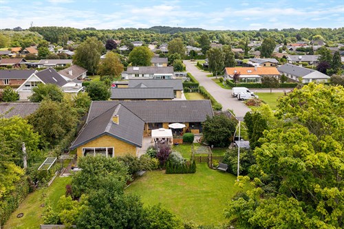 estate