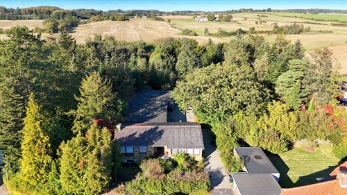 estate