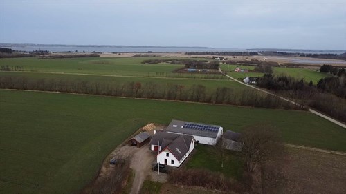 estate