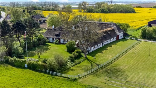 estate
