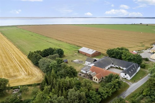 estate