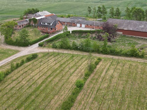estate