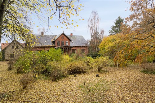 estate