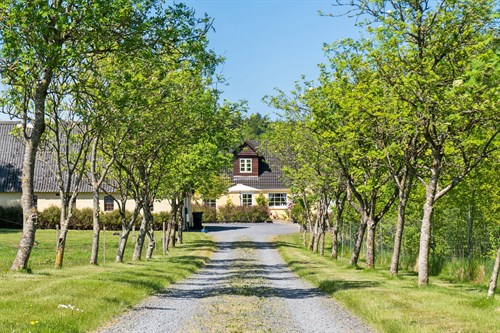 estate