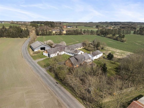 estate