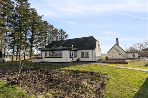 estate