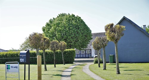 estate