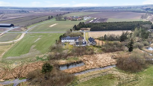 estate