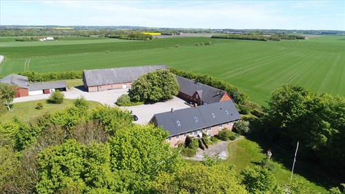 estate