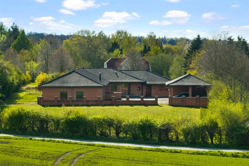 estate
