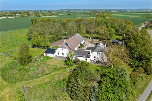 estate