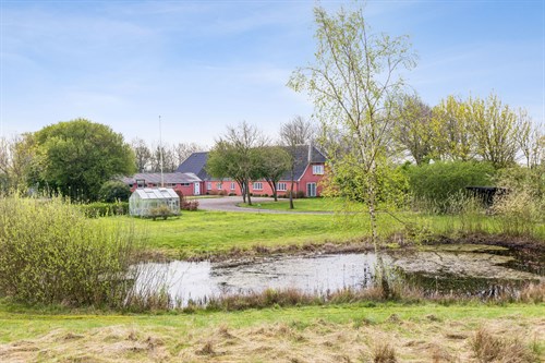 estate