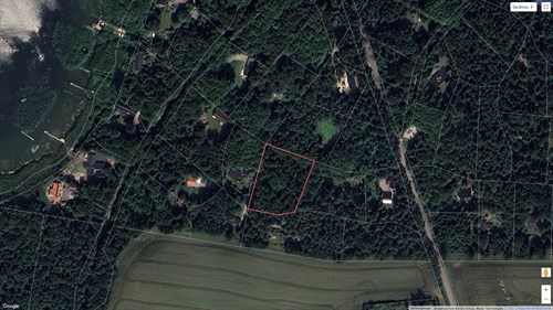 estate