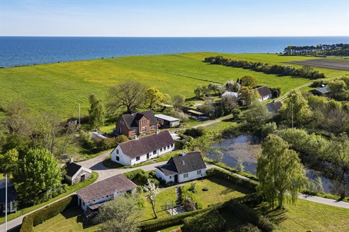 estate