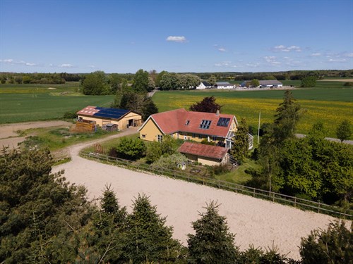 estate