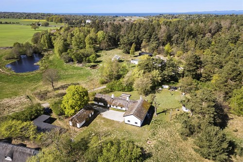 estate