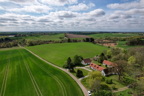 estate