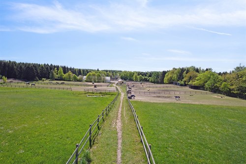 estate