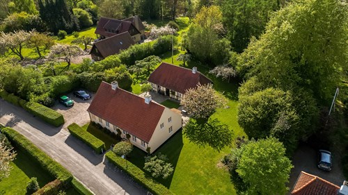 estate