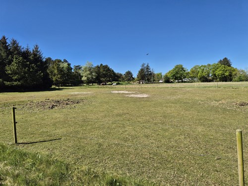 estate