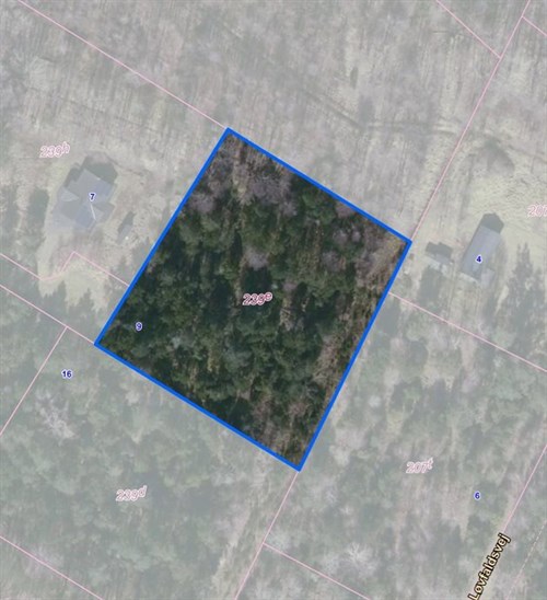 estate