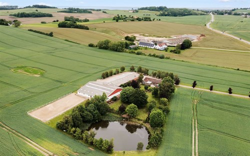 estate