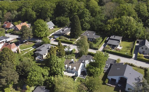 estate