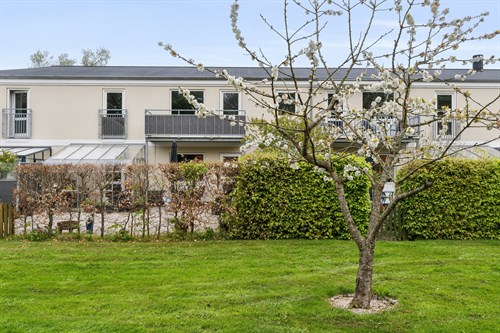 estate